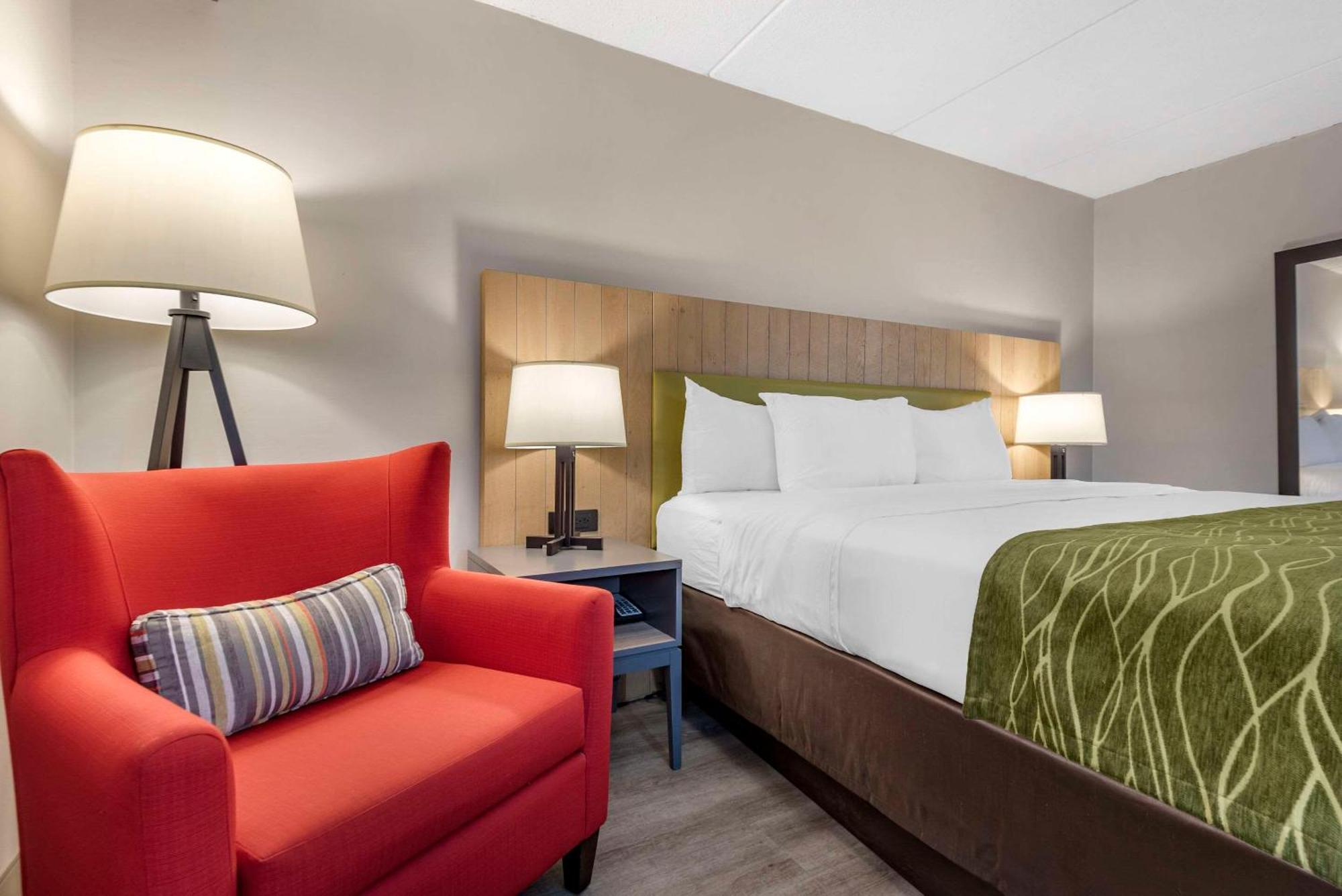 Comfort Inn & Suites Liverpool - Syracuse North Zewnętrze zdjęcie